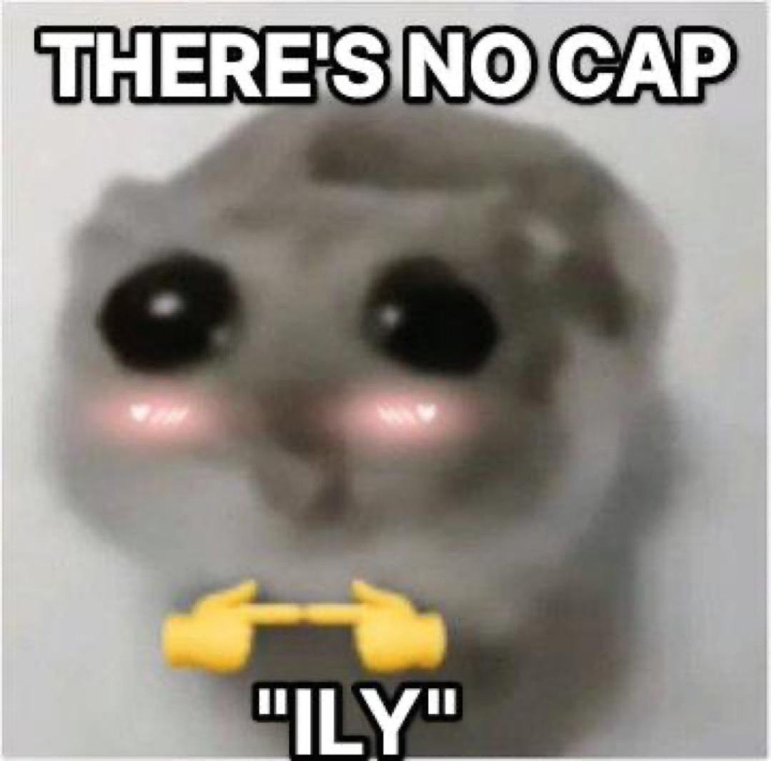 ILY Meme 18